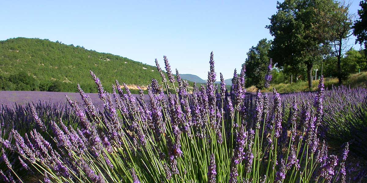 Tourisme Provence